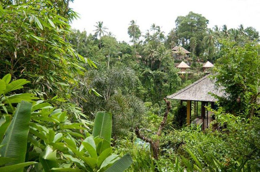 Umah Shanti विला Ubud (Bali)